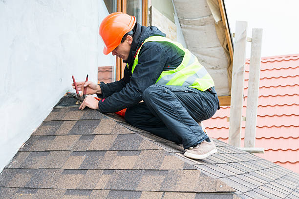 Best Metal Roofing Contractor  in Winfield, TN